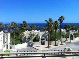 sharm